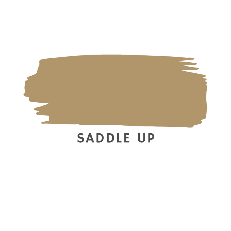 Old World - Saddle Up  Clay and Chalk Paint