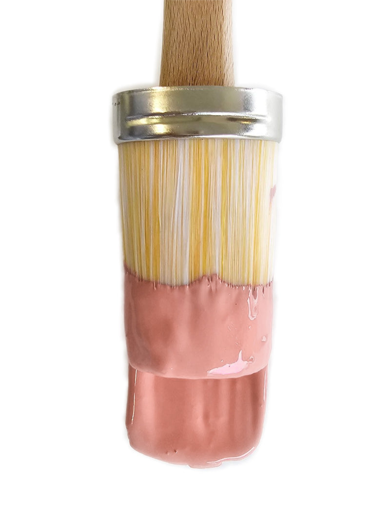 Botanical - Blushing Coral Clay and Chalk Paint
