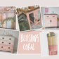 Botanical - Soft Coral Pink  Blushing Coral Clay and Chalk Paint
