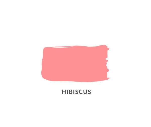 Coastal - Hibiscus - Clay and Chalk Paint || 8 oz.